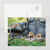 Koninklijke Familie Briefkaart (Voorkant / Achterkant)