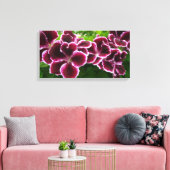 Koninklijke Geranium Bloemen Elegante Maroon Bloem Canvas Afdruk (Insitu (Woonkamer))