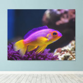 koninklijke gramma basslet vis canvas afdruk (Insitu (Houten vloer))