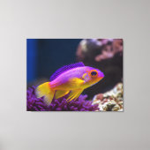 koninklijke gramma basslet vis canvas afdruk (Voorkant)