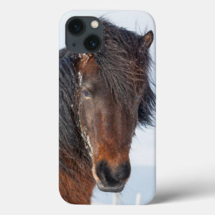 Koninklijke IJslandse paardenkoppenshot iPhone 13 Hoesje
