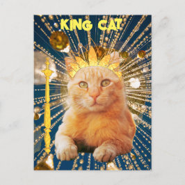 Koninklijke Koning Kat Grappig Voor Kat Liefhebber Briefkaart