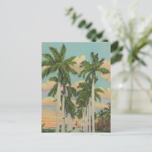 Koninklijke Palmen van Florida Briefkaart (Staand voorkant)