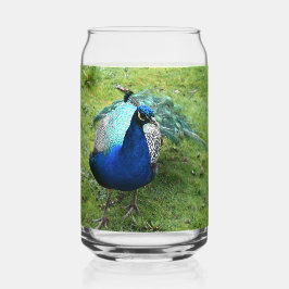 Koninklijke Pauwenkracht Blikvorm Glas