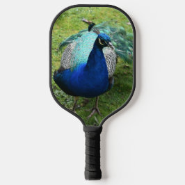 Koninklijke Pauwenkracht Pickleball Paddle