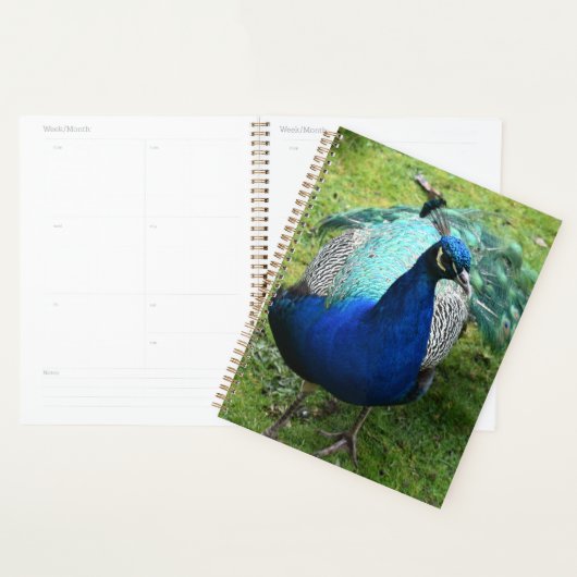 Koninklijke Pauwenkracht Planner (Display)