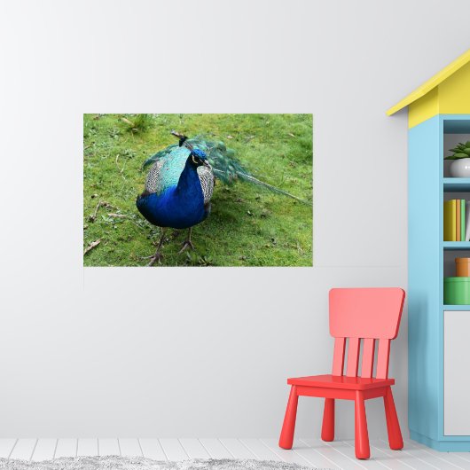 Koninklijke Pauwenkracht Poster (Kinderkamer 1)