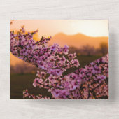 Koninklijke Roze Roos All In One Uitnodiging (Achterkant)