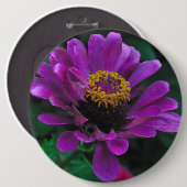 Koninklijke Schoonheid Ronde Button 6,0 Cm (Voorkant /achterkant)