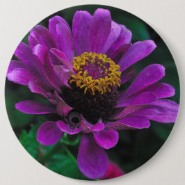 Koninklijke Schoonheid Ronde Button 6,0 Cm
