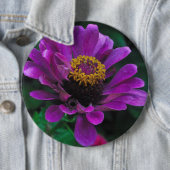 Koninklijke Schoonheid Ronde Button 6,0 Cm (In situ)