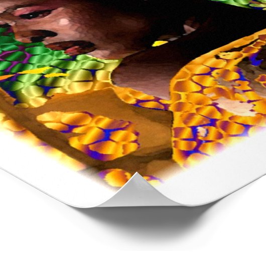 Koninklijke Schoonheid van Afrika Poster (Hoek)