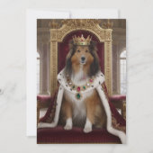Koninklijke Sheltie Kaart (Voorkant)