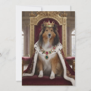 Koninklijke Sheltie Kaart