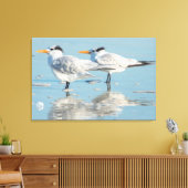 Koninklijke sterns op het strand canvas afdruk (Insitu (Woonkamer))
