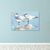 Koninklijke sterns op het strand canvas afdruk (Insitu (Houten vloer))