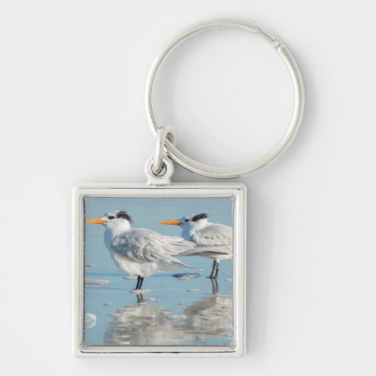 Koninklijke sterns op het strand sleutelhanger (Voorkant)