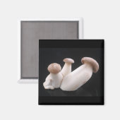 Koninklijke Trompet Mushroom Magneet (Voorkant / Achterkant)