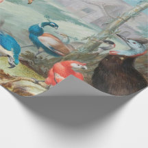 Koninklijke Vogel Landschap