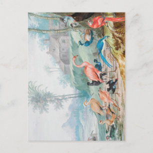 Koninklijke Vogels Briefkaart