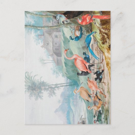Koninklijke Vogels Briefkaart (Voorkant)