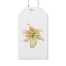 Koninklijke witte gele leliebloem.