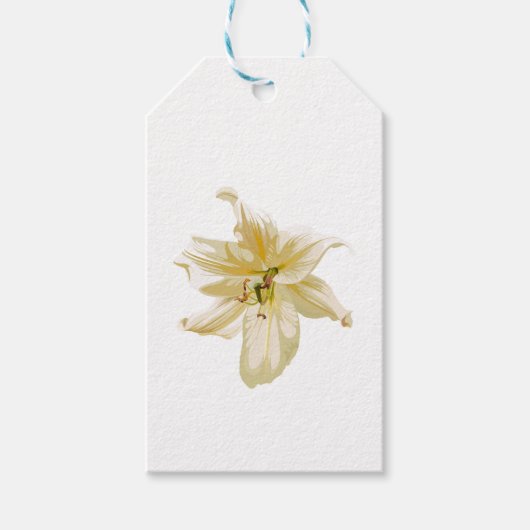 Koninklijke witte gele leliebloem. cadeaulabel (Voorkant)