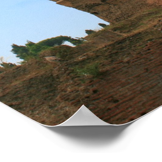 Koninkrijk der Seagulls Poster (Hoek)