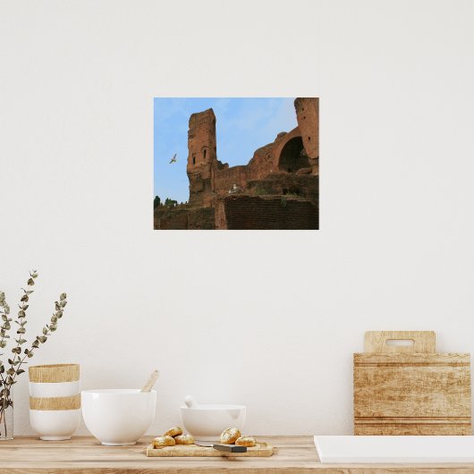 Koninkrijk der Seagulls Poster (Keuken)