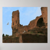 Koninkrijk der Seagulls Poster (Voorkant)