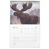  Koninkrijk, Oerwouden bossen Kalender (Feb 2027)
