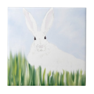 KONINKRIJK OP HET GEBIED TEGELTJE