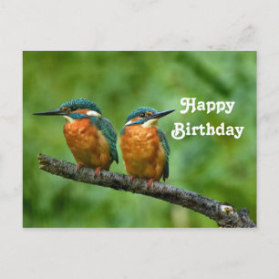 Koninkrijks IJsvogel Foto Verjaardag Briefkaart