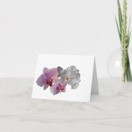 Konymoi "Orchid Bloom" blanco Gevouwen Wenskaart Kaart