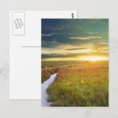 Konza Prairie Path Briefkaart (Voorkant / Achterkant)