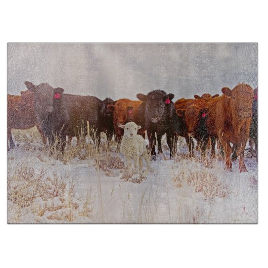 Kooi voor Western glas Snijplank (Voorkant)