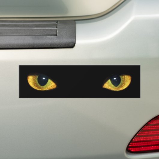 KOOIEN VAN CAT BUMPERSTICKER (Op auto)