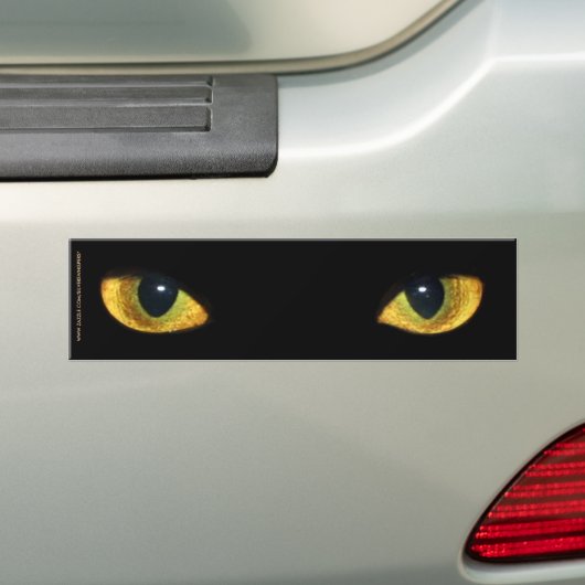 KOOIEN VAN CAT BUMPERSTICKER (Op auto)