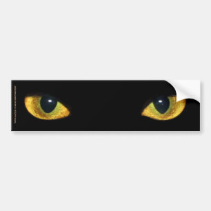 KOOIEN VAN CAT BUMPERSTICKER