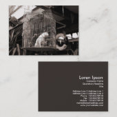 Kooiende beesten, mini-foto visitekaartje (Voorkant / Achterkant)