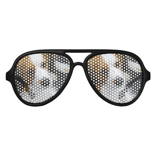 Kooikerhondje Dog Aviator Zonnebril (Voorkant)