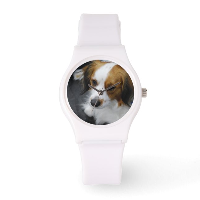 Kooikerhondje Dog Horloge (Voorkant)