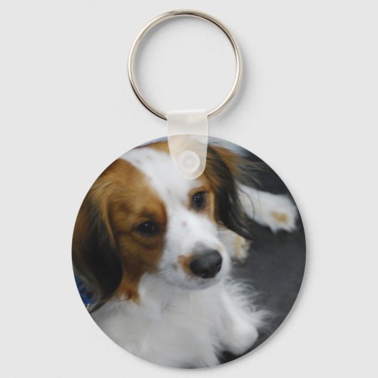 Kooikerhondje Dog  Keychain (Voorkant)