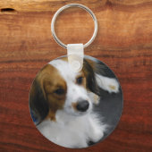 Kooikerhondje Dog  Keychain (Voorkant)
