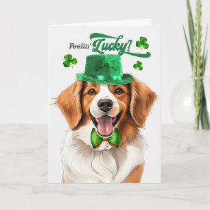Kooikerhondje Hond Voelt Zich Gelukkig St. Patrick Feestdagen Kaart