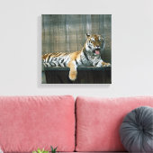Kooitijger in kooi in dierentuin canvas afdruk (Insitu (Woonkamer))