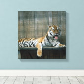 Kooitijger in kooi in dierentuin canvas afdruk (Insitu (Houten vloer))