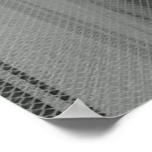 Kooivogel Poster (Hoek)