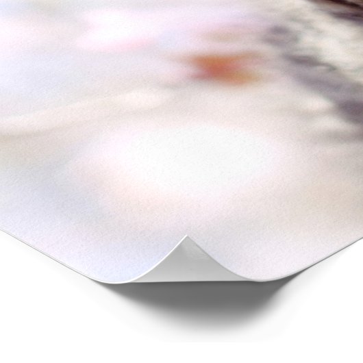 Kook in een boom poster (Hoek)