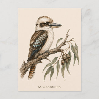 Kookaburra Ansichtkaart | Bush-editie Briefkaart